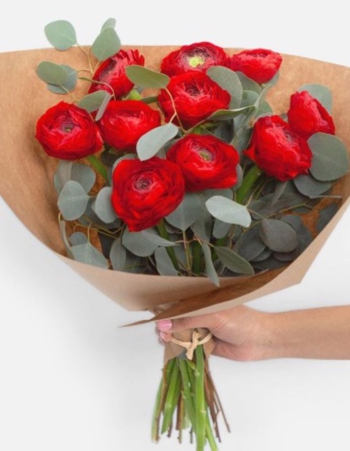 Best Valentine’s Flowers and Plants