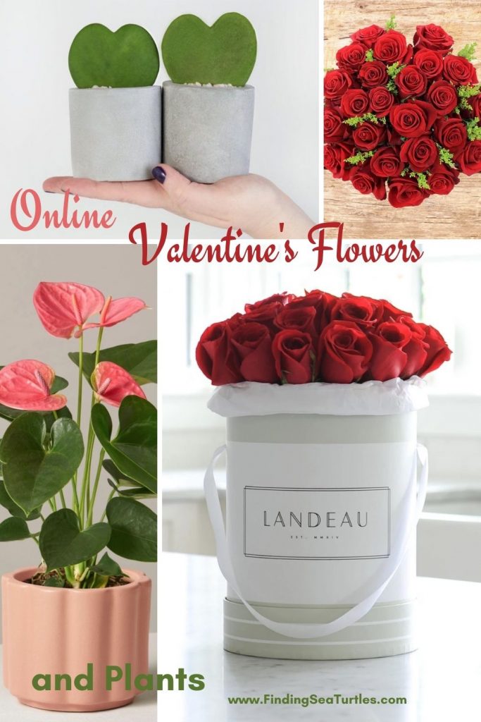 Online Valentines Flowers and Plants #flowers #FlowerDelivery #bouquets #OnlineFlowers #FlowersOnline #ValentinesDay #ValentinesFlowers #SendFlowers