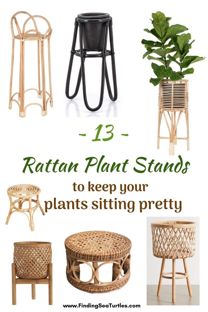 13 Rattan Plant Stands to keep your plants sitting pretty #Coastal #Boho #PlantStands #RattanPlantStands #CoastalPlantStands #CoastalDecor #CoastalHome #CoastalLiving #BeachHouse #LakeHouse #SummerHouse #BohoDecor 
