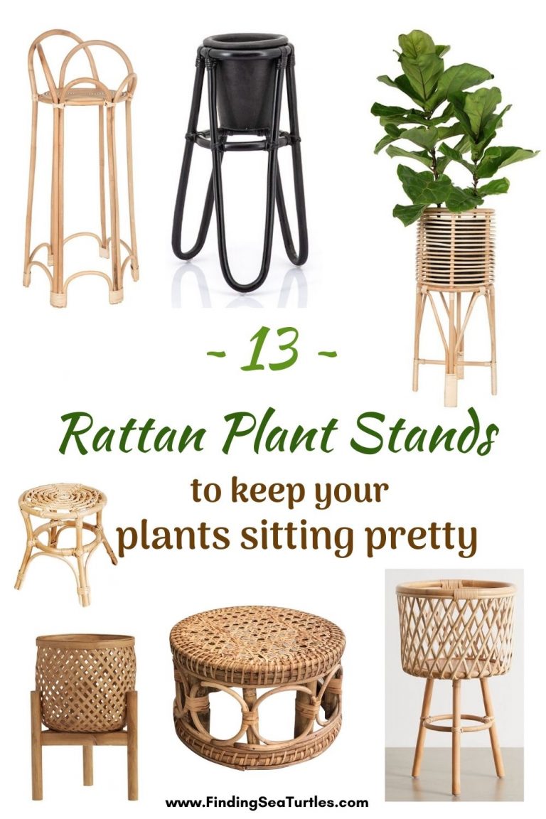 13 Rattan Plant Stands We Adore