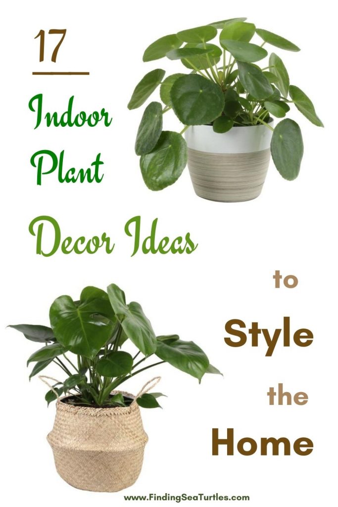 17 Indoor Plant Decor Ideas to Style the Home #Coastal #HousePlants #IndoorPlants #AirPurifyingPlants #GoGreen #GreenLiving #CoastalDecor #CoastalHome #CoastalLiving #InteriorTips #InteriorTipsAndTricks #GreenLovers #InteriorDesignTips #HomeDecorTipsAndTricks #HomeDecor 