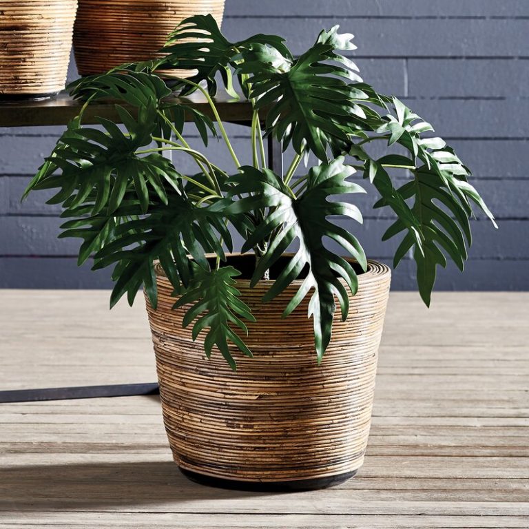 15 Best Rattan Pot Planters with Boho Style