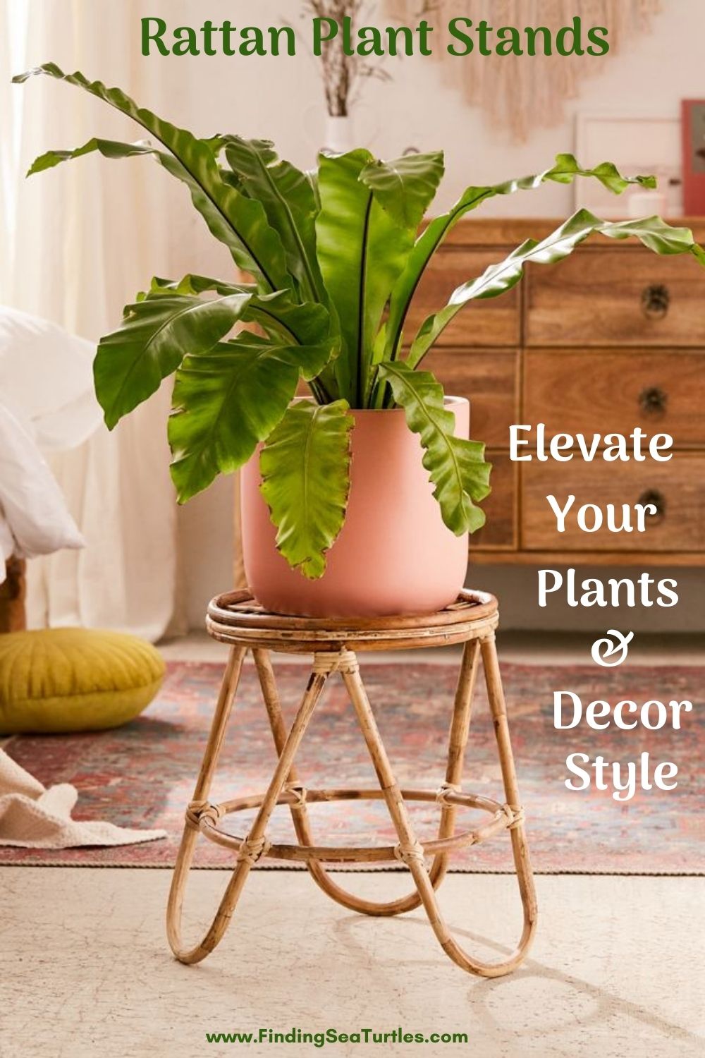 13 Rattan Plant Stands We Adore