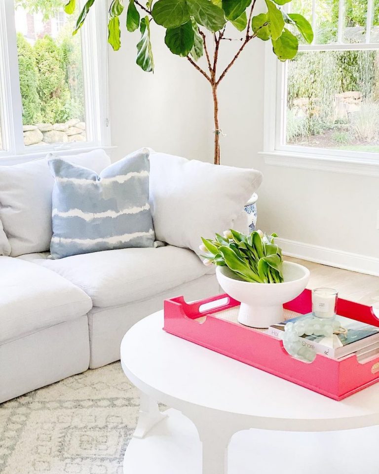 9 Best Pink Trays for Today’s Coastal Home Decor