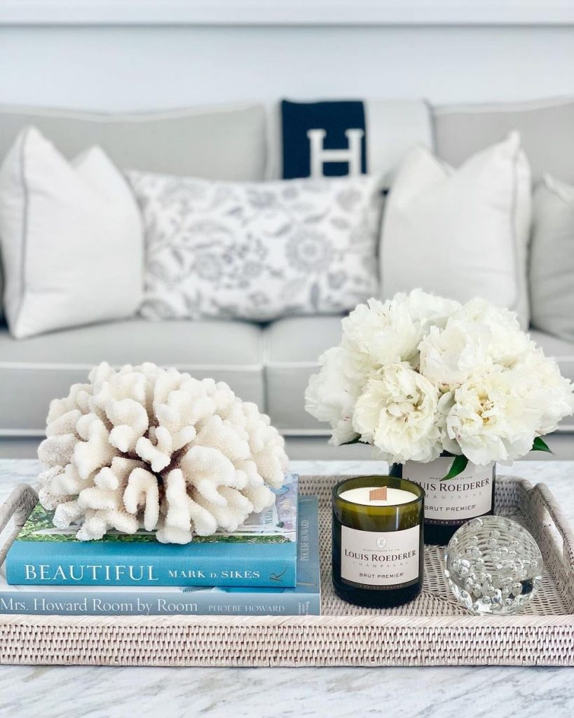 Inspo 9 #Vignette #CoastalVignette #Coastal #TrayStyling #TrayStylingTips #CoastalDecor #HomeDecor #LivingRoomDecor