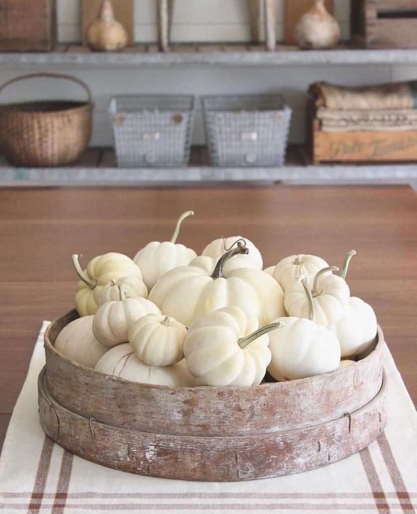 In 16 1 #Fall #FallCenterpiece #FallDecor #Autumn #FallTable #HomeDecor 