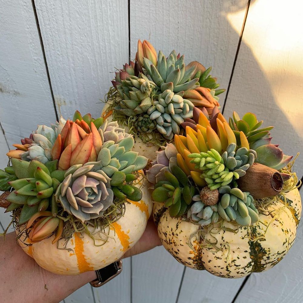 DIY fall centerpiece ideas In 2 #Fall #FallCenterpiece #FallDecor #Autumn #FallTable #HomeDecor 