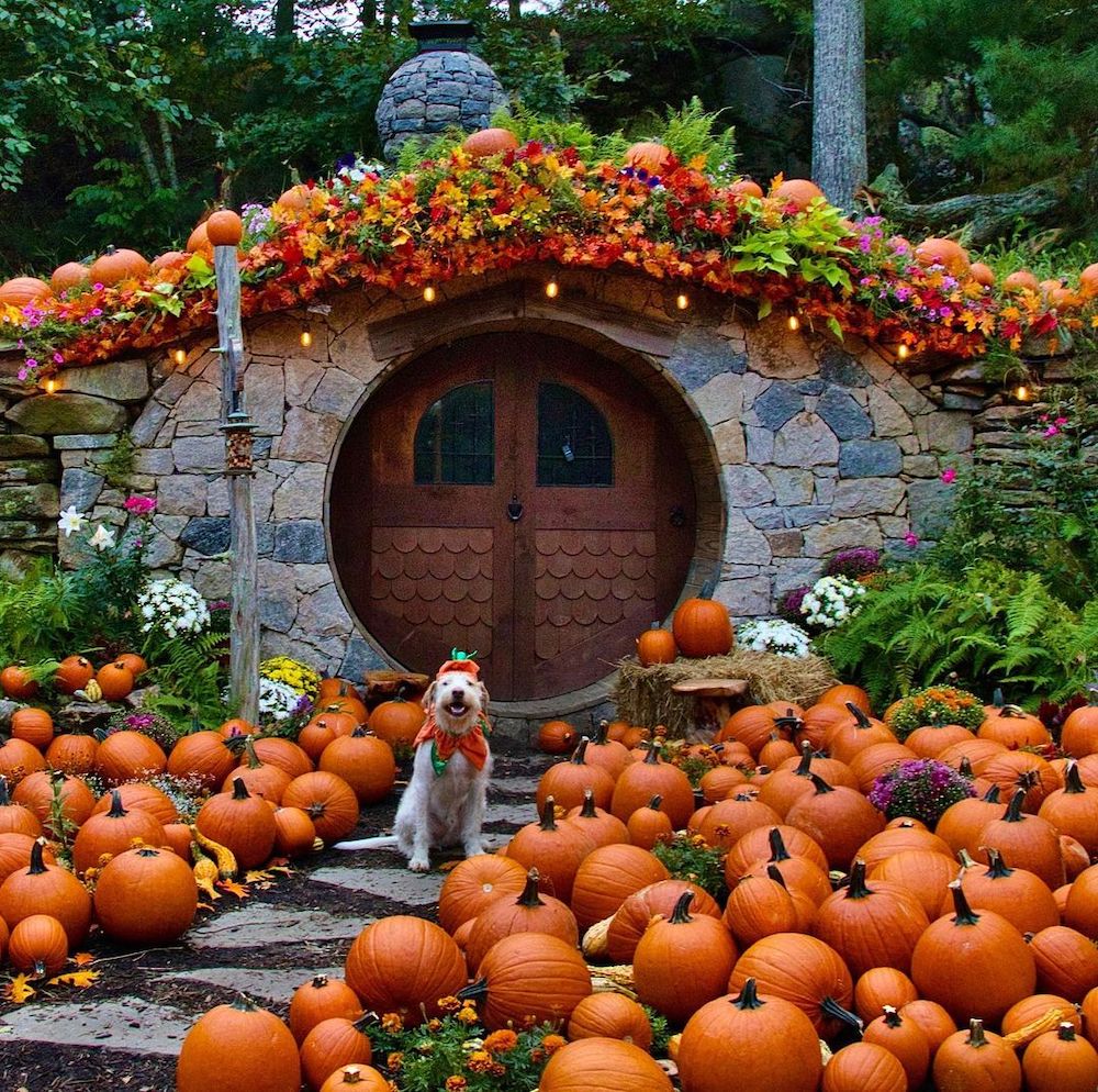 Fall Porch Styling Ideas In 23 #Fall #Porch #FallPorch #FallDecor #HomeDecor #AutumnDecor