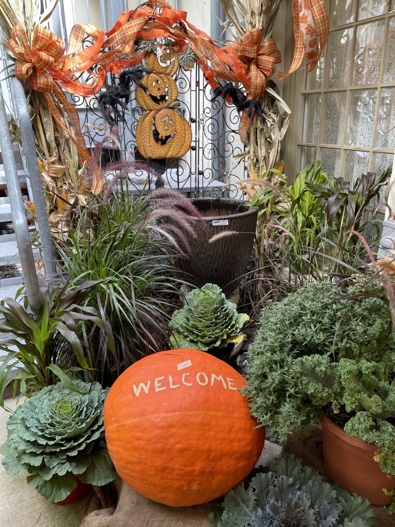 Welcome Pumpkins and Ornamental Cabbages_1607 #Fall #Porch #FallPorch #FallDecor #HomeDecor #AutumnDecor