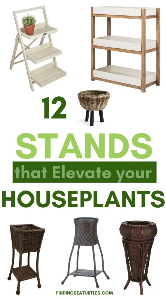 12 Stands that Elevate your Houseplants #Coastal #PlantStands #CoastalPlantStands #HomeDecor #CoastalHomeDecor 