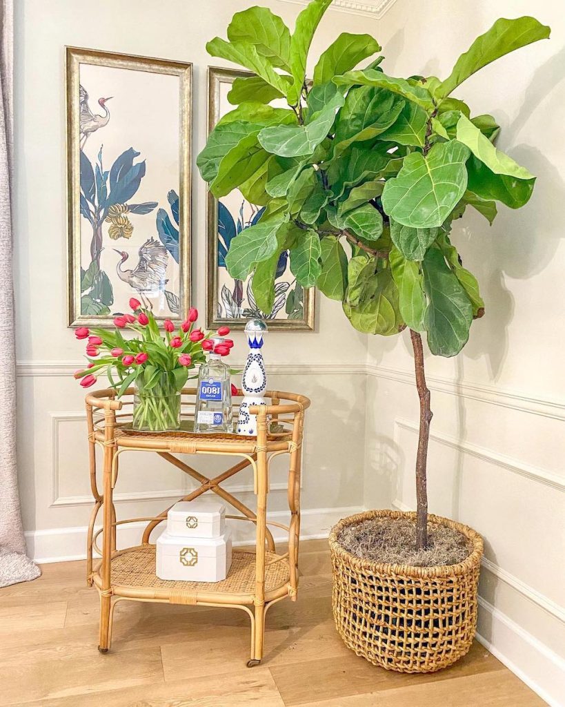 Plant stands for indoor In 1 #Coastal #PlantStands #CoastalPlantStands #HomeDecor #CoastalHomeDecor 