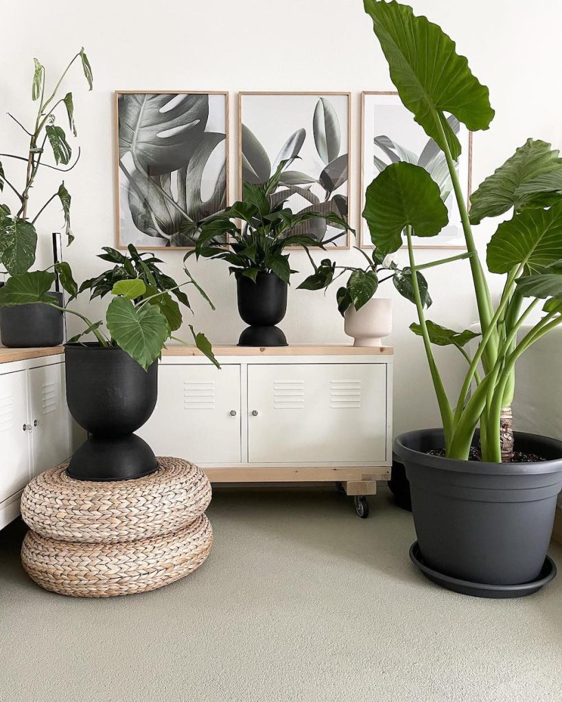 Best Faux Plants In 2 #Coastal #FauxPlants #CoastalFauxPlants #HomeDecor #CoastalHomeDecor 