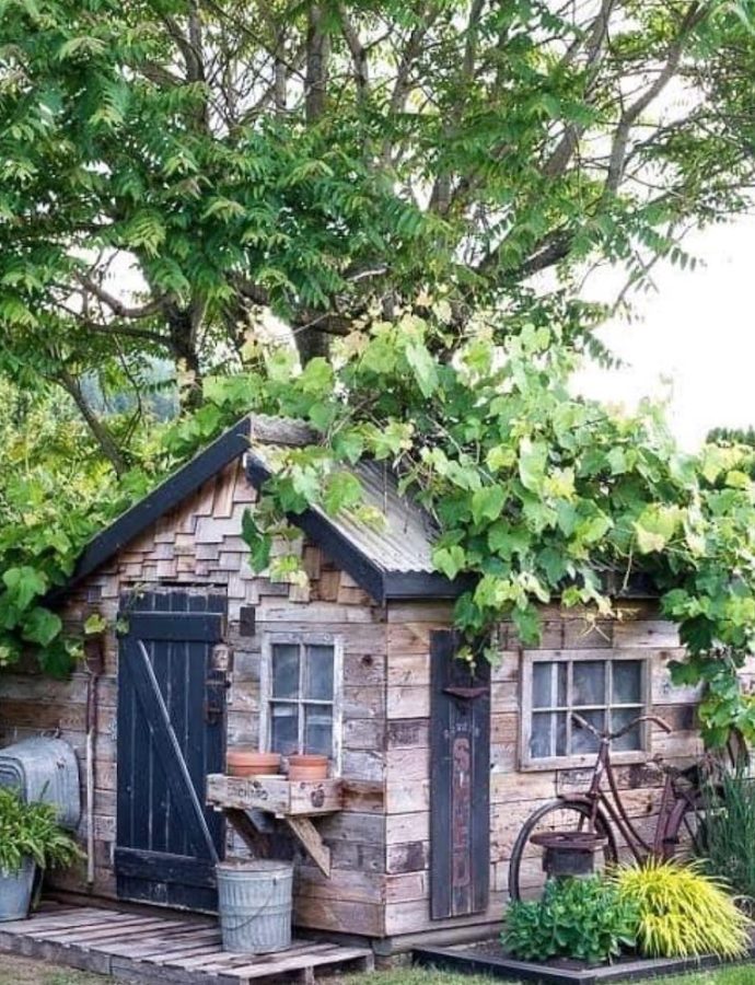 15 Garden Shed Ideas to Expand Your Outdoor Storage