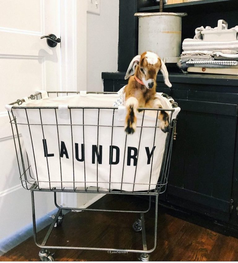10 Rolling Laundry Carts to Keep a Tidy Laundry Room
